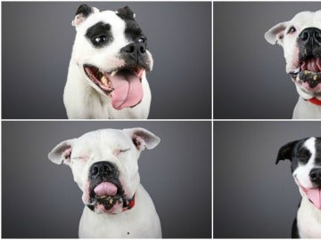 Fotografías del proyecto Fotografías del proyecto