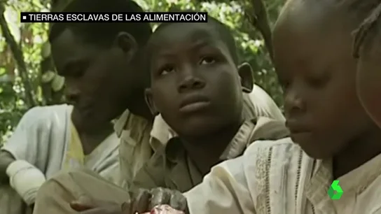 Frame 10.009123 de: cultivos esclavos Frame 10.009123 de: cultivos esclavos