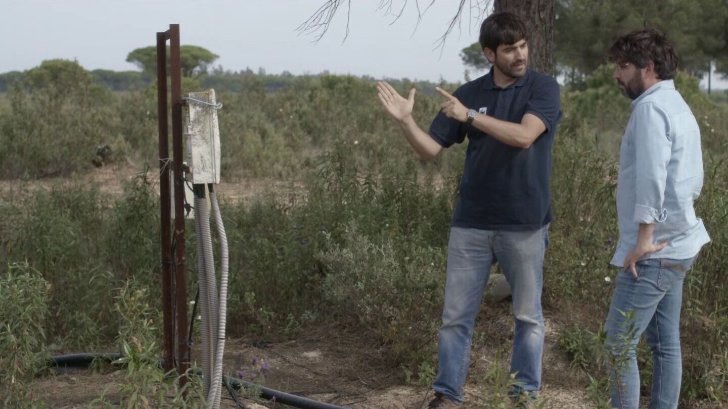 Pozo ilegal en Do&ntilde;ana
