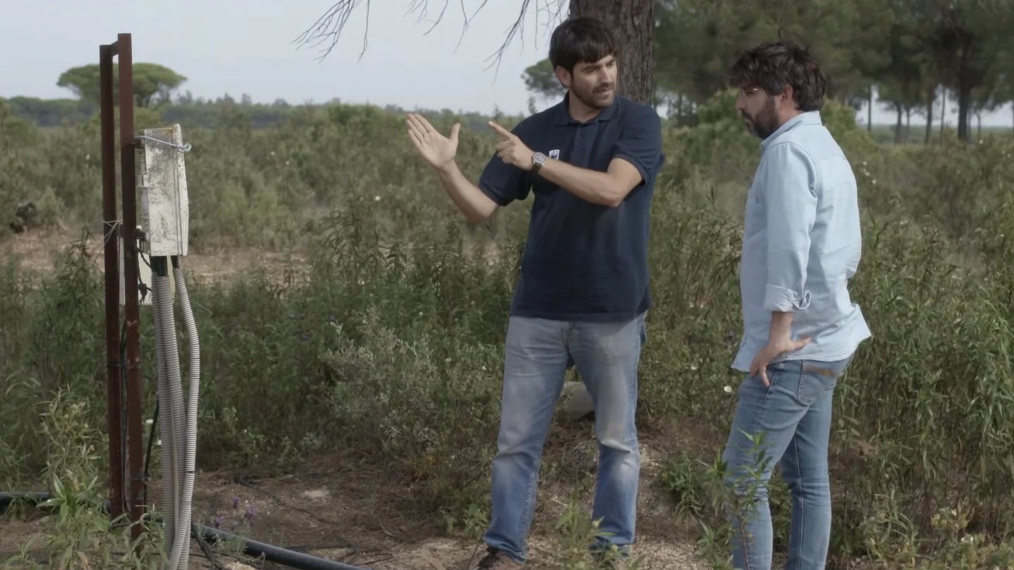 Pozo ilegal en Doñana