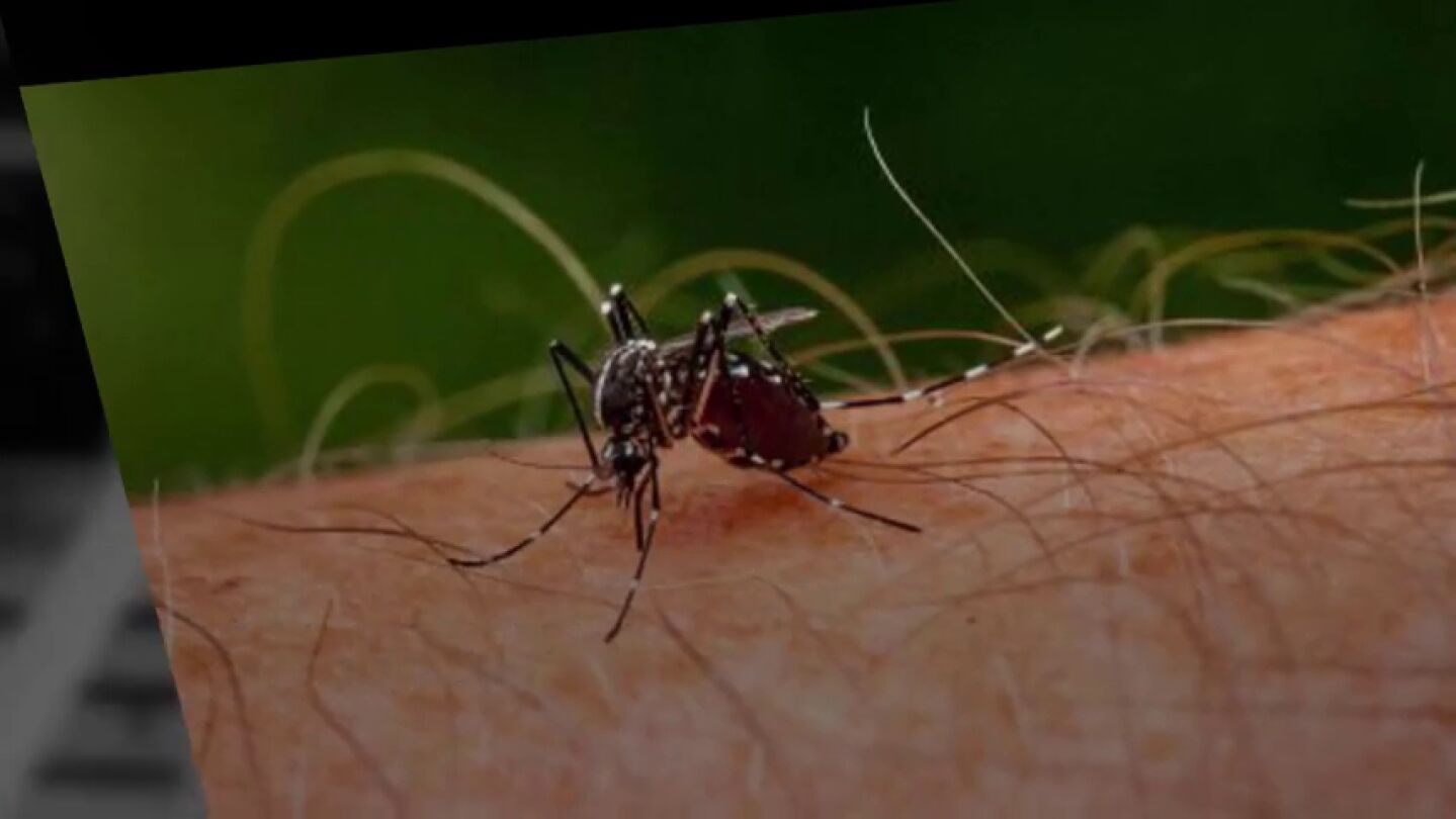 Frame 6.760645 de: 5 razones por las que podrías estar atrayendo a los mosquitos