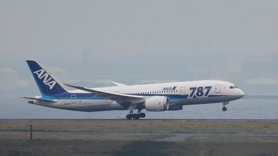 Pedir un menú sin gluten y que te sirvan un plátano LA AEROLÍNEA HA PEDIDO DISCULPAS