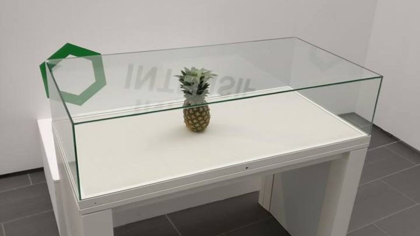 La pi&ntilde;a expuesta en una vitrina