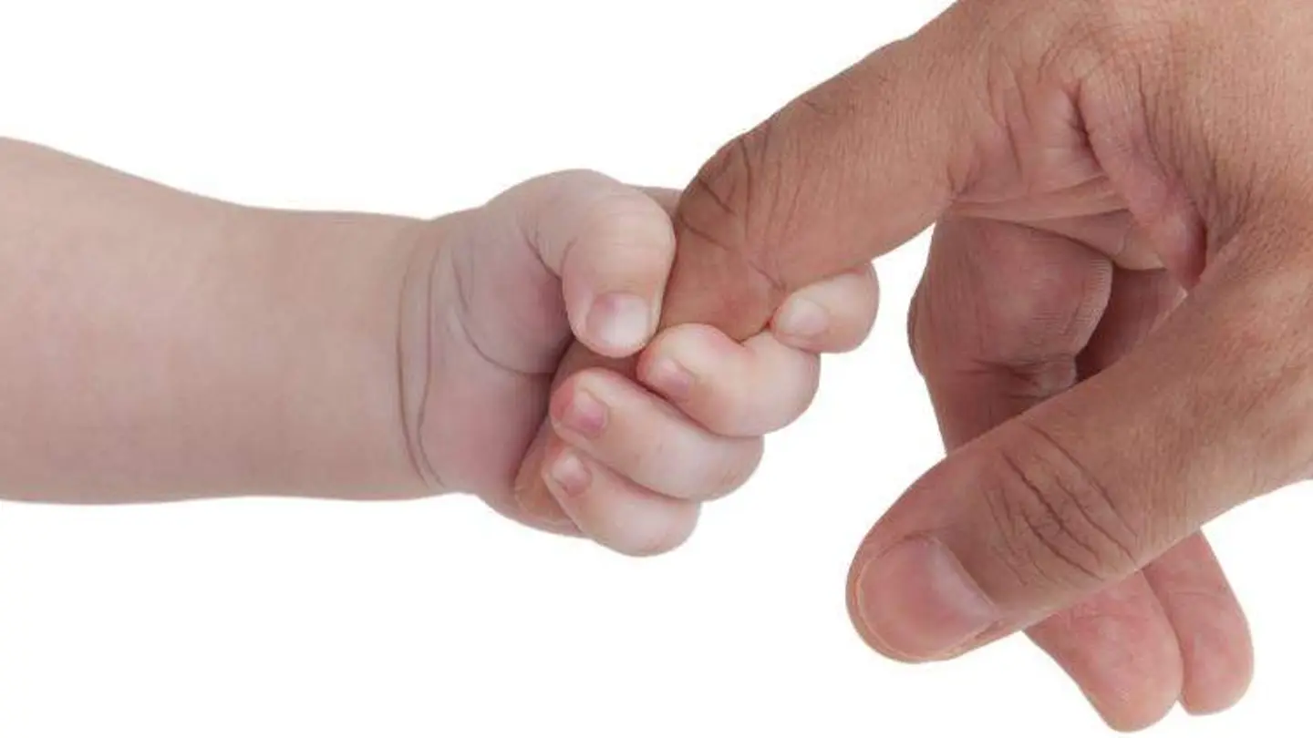 Paternidad Paternidad
