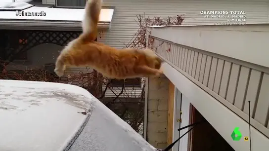 El Intermedio El Intermedio