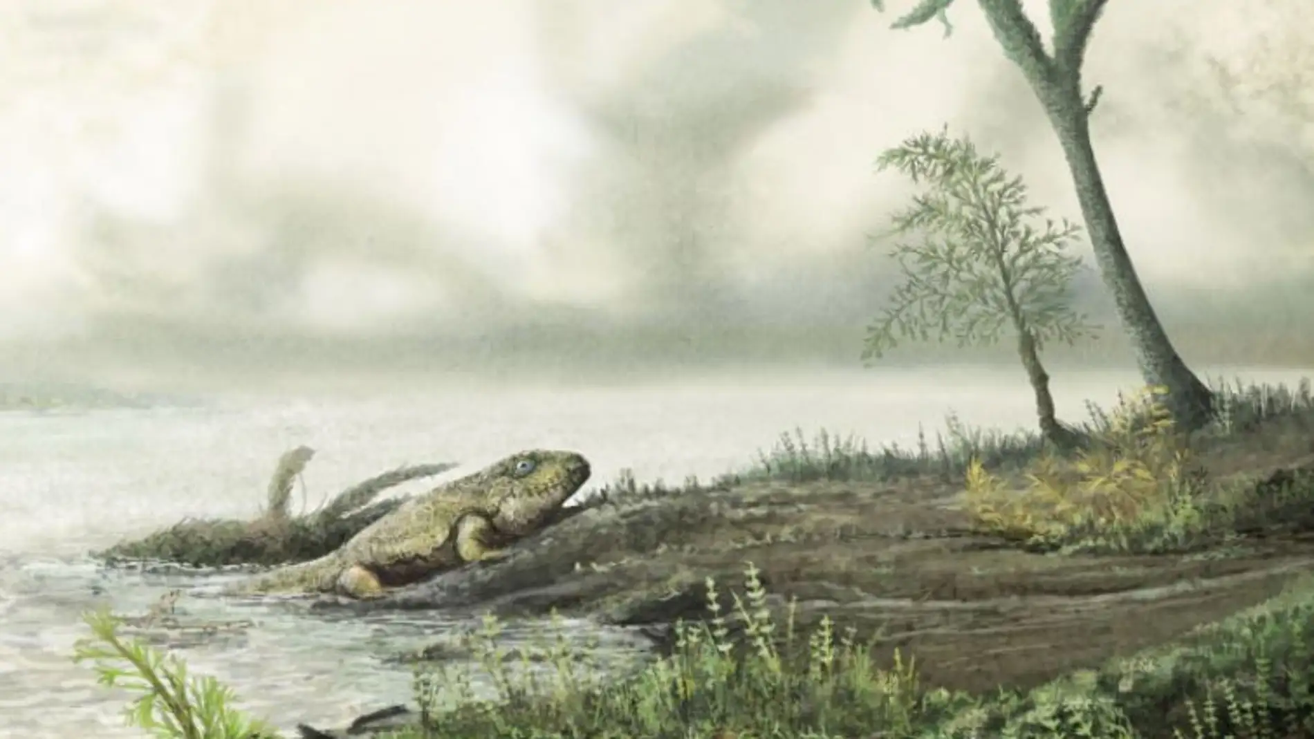 Las superbacterias surgieron mucho antes que los dinosaurios