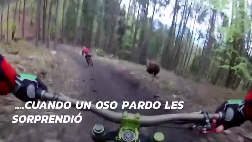 Frame 17.008365 de: El escalofriante momento en que un oso ataca a dos ciclistas en pleno bosque Frame 17.008365 de: El escalofriante momento en que un oso ataca a dos ciclistas en pleno bosque
