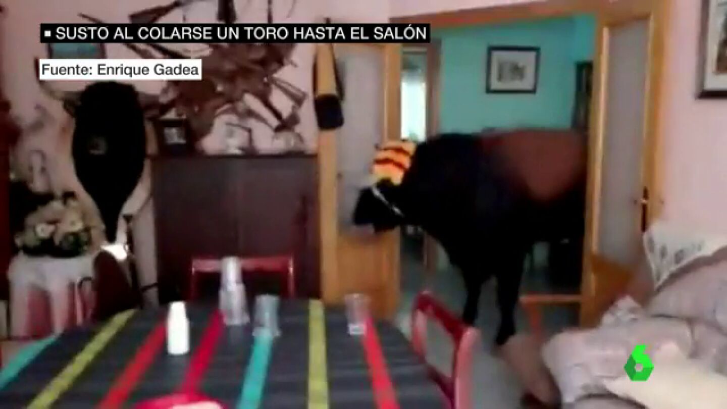 Un toro se cuela en el sal&oacute;n de una casa durante las fiestas de un pueblo valenciano