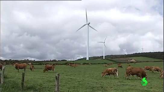 381 molinos de viento se han instalado en Muras 381 molinos de viento se han instalado en Muras