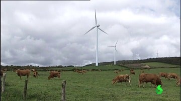 381 molinos de viento se han instalado en Muras
