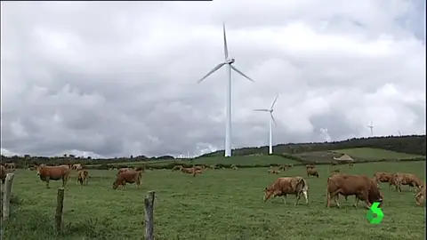381 molinos de viento se han instalado en Muras 381 molinos de viento se han instalado en Muras