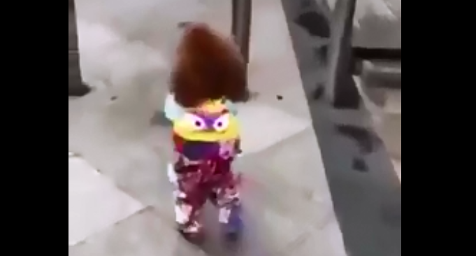 Perrito andando sobre dos patas