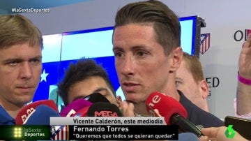 Fernando Torres, durante un acto en el Calderón