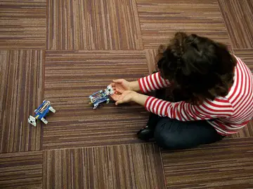 El divorcio de los padres aumenta el riesgo de trastornos en la salud de los hijos El divorcio de los padres aumenta el riesgo de trastornos en la salud de los hijos