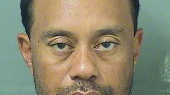 La ficha policial de Tiger Woods El golfista ha sido detenido por conducir ebrio