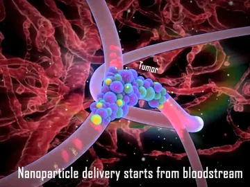Nanopartículas Nanopartículas