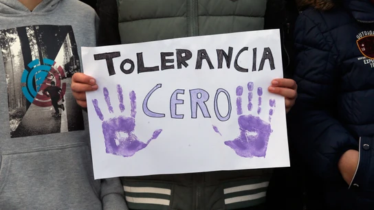 Tolerancia Cero a la Violencia de Género Tolerancia Cero a la Violencia de Género