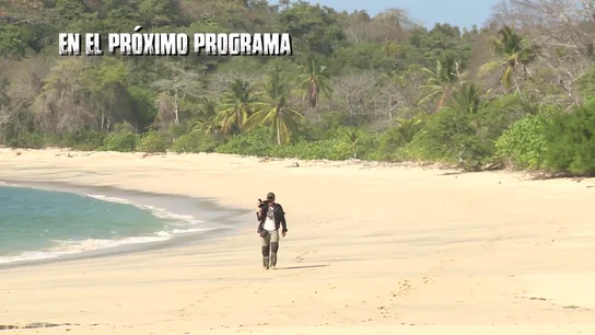 Un nuevo aventurero en La Isla Un nuevo aventurero en La Isla