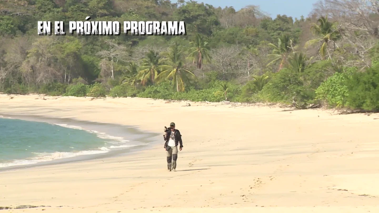 Un nuevo aventurero en La Isla Un nuevo aventurero en La Isla
