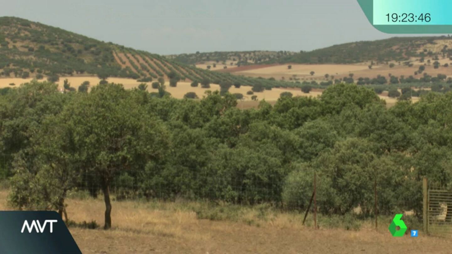 Frame 0.0 de: TIERRAS