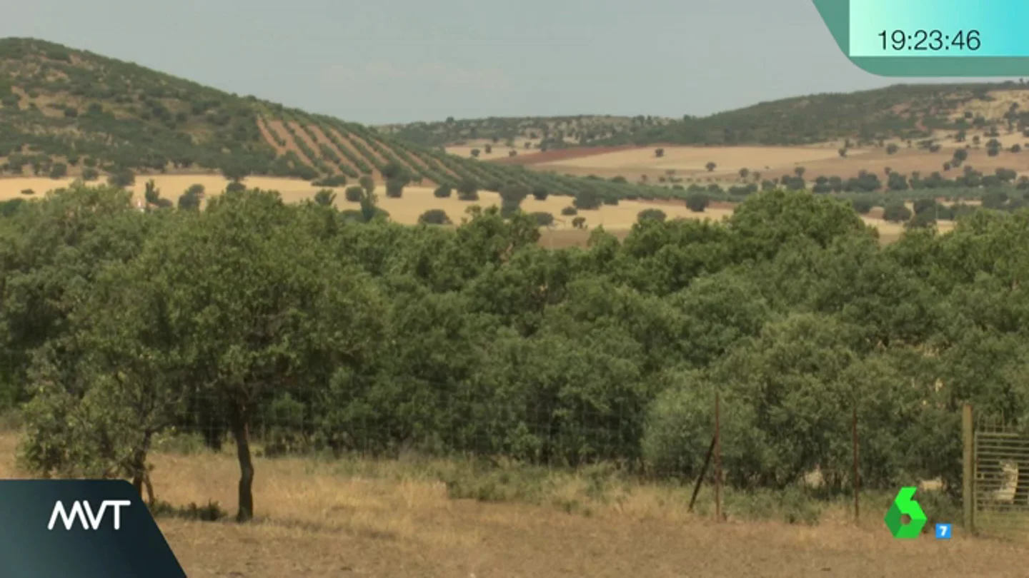 Frame 0.0 de: TIERRAS Frame 0.0 de: TIERRAS