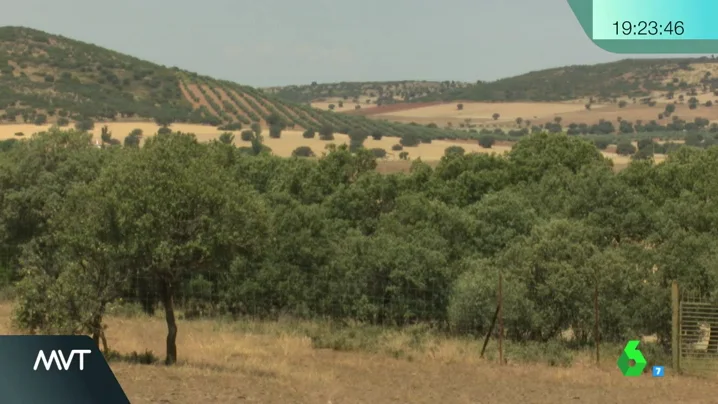 Frame 0.0 de: TIERRAS