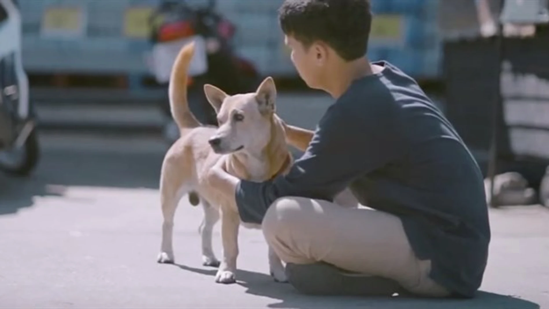 El joven youtuber abrazando a un perro callejero