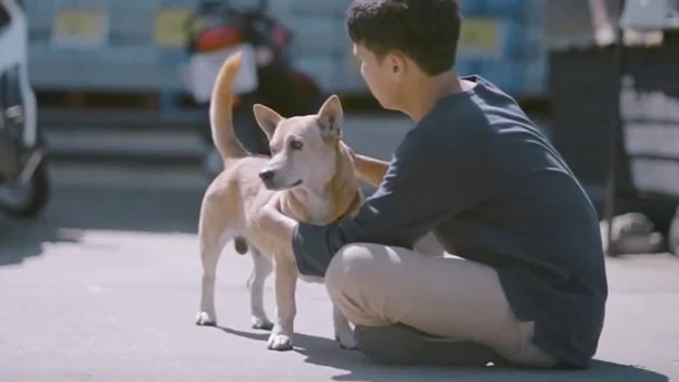 El joven youtuber abrazando a un perro callejero