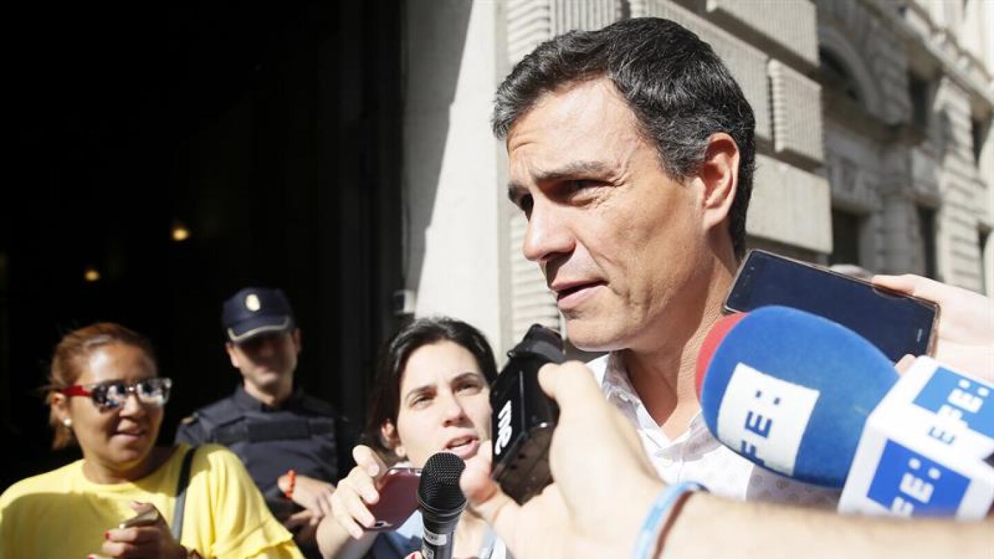 Pedro S&aacute;nchez