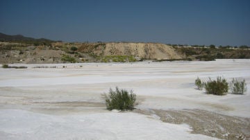 La reutilizacion de lodos de marmol permite regenerar suelos contaminados