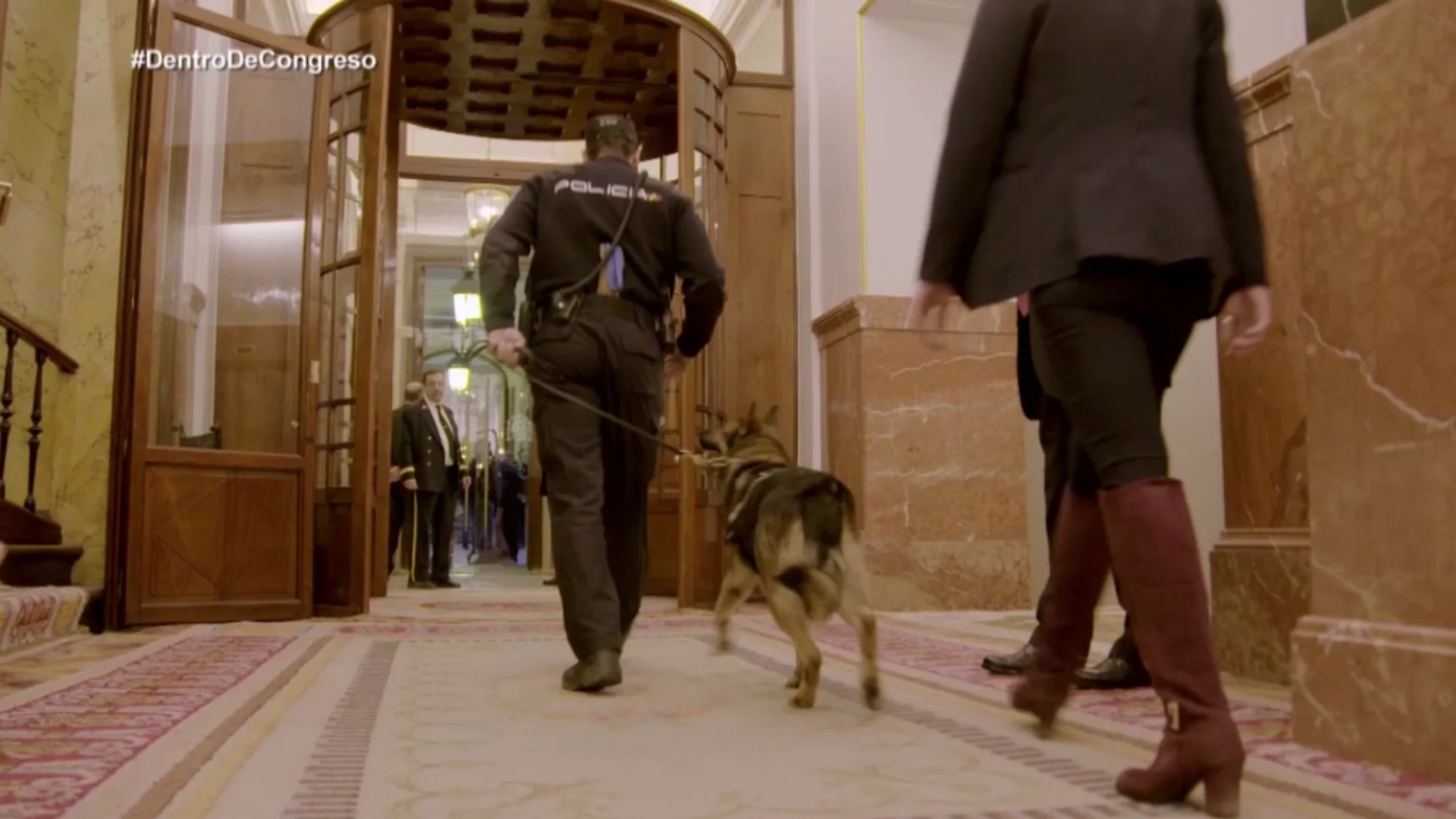 Seguridad en Congreso de los Diputados