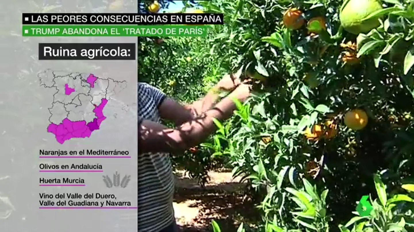 Frame 48.25258 de: consecuencias españa Frame 48.25258 de: consecuencias españa