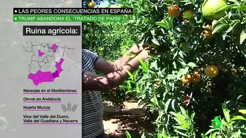 Frame 48.25258 de: consecuencias españa Frame 48.25258 de: consecuencias españa