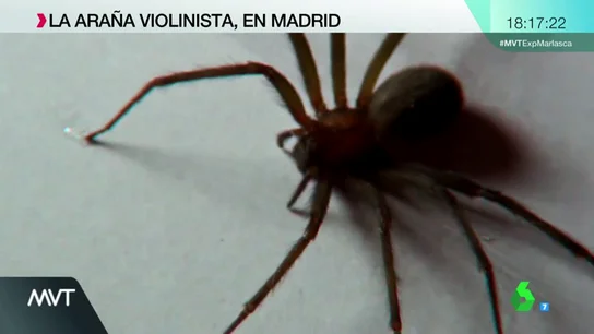 Frame 18.893169 de: ARAÃA Frame 18.893169 de: ARAÃA