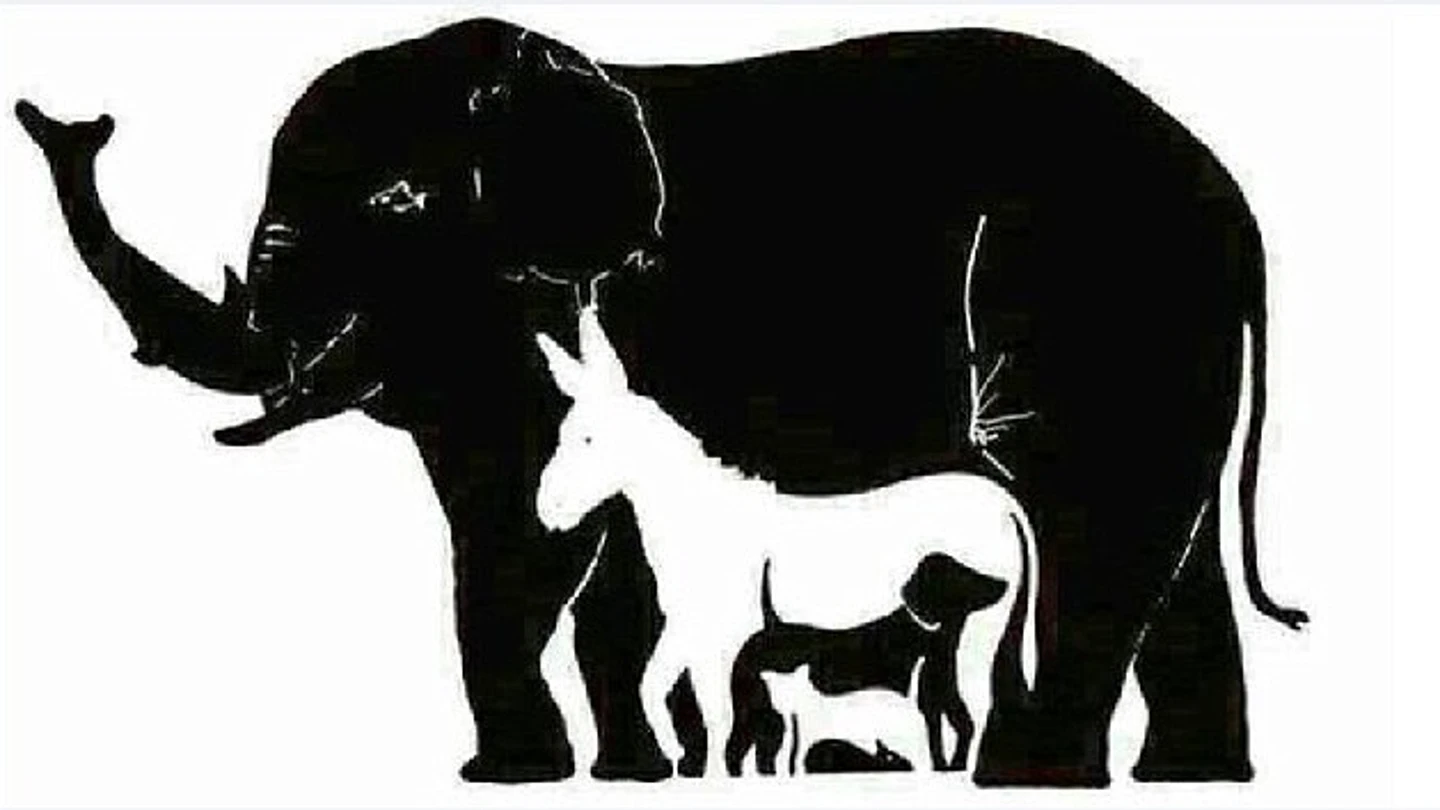 El reto visual de los animales El reto visual de los animales