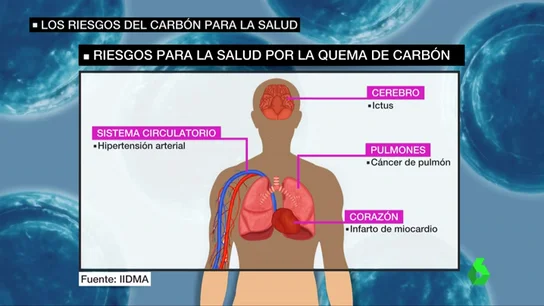 Frame 42.504827 de: CARBON Y SALUD Frame 42.504827 de: CARBON Y SALUD