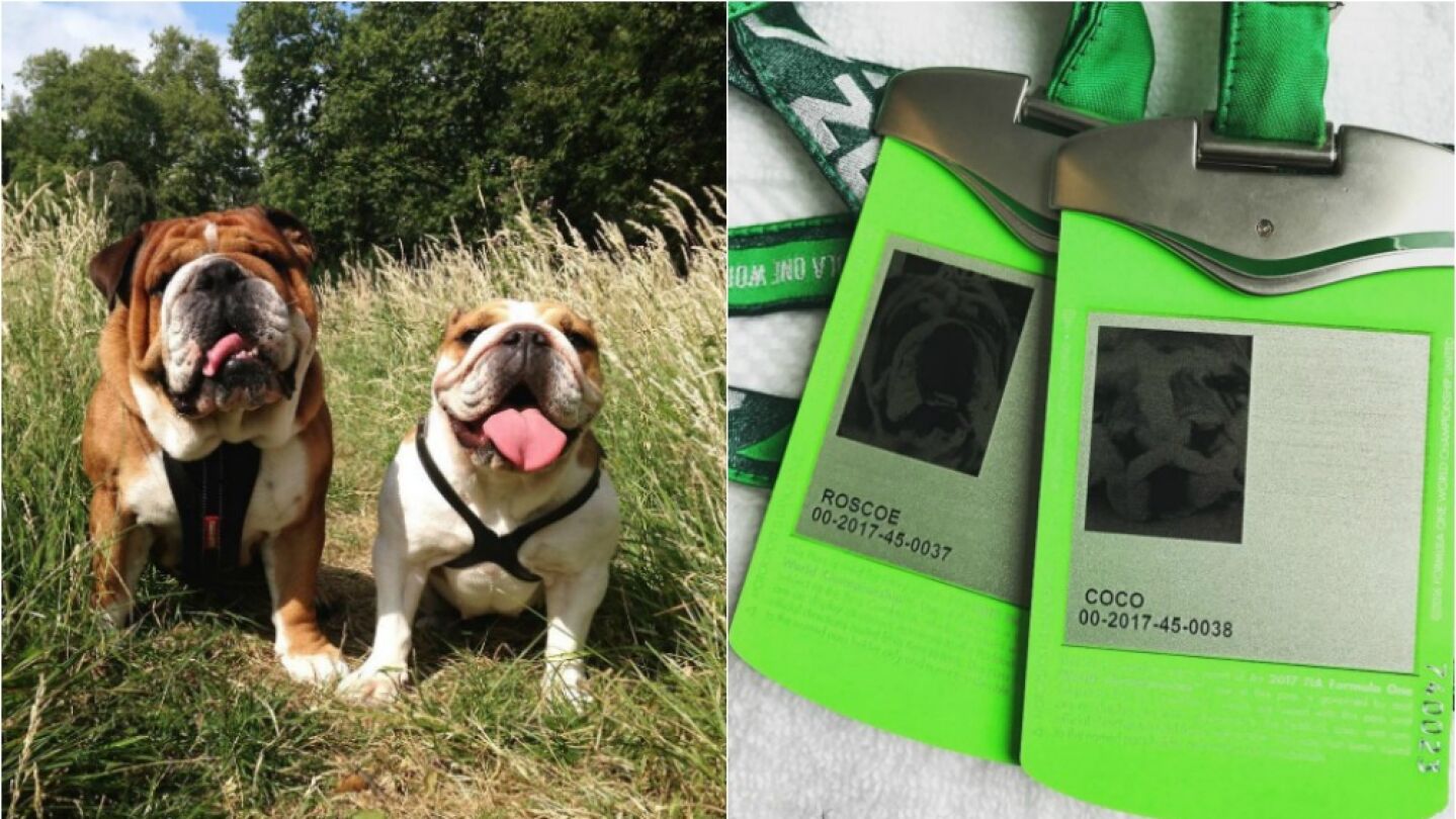 Los perros de Hamilton, con acreditaci&oacute;n oficial de la F&oacute;rmula 1