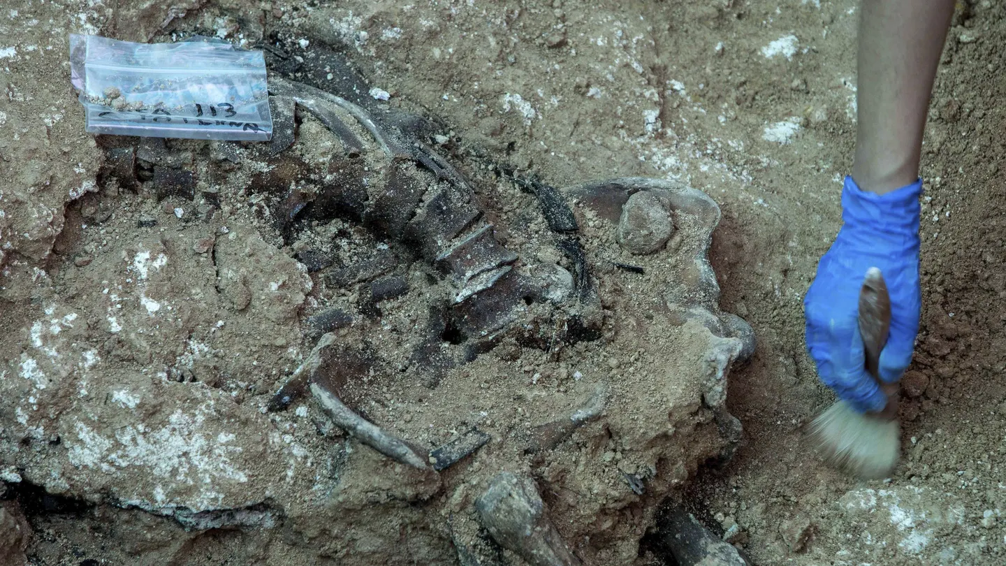 Trabajos de exhumación en la fosa número 113 del cementerio de Paterna Trabajos de exhumación en la fosa número 113 del cementerio de Paterna