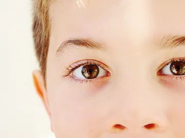 Las distintas partes del rostro son procesadas por neuronas diferentes Las distintas partes del rostro son procesadas por neuronas diferentes