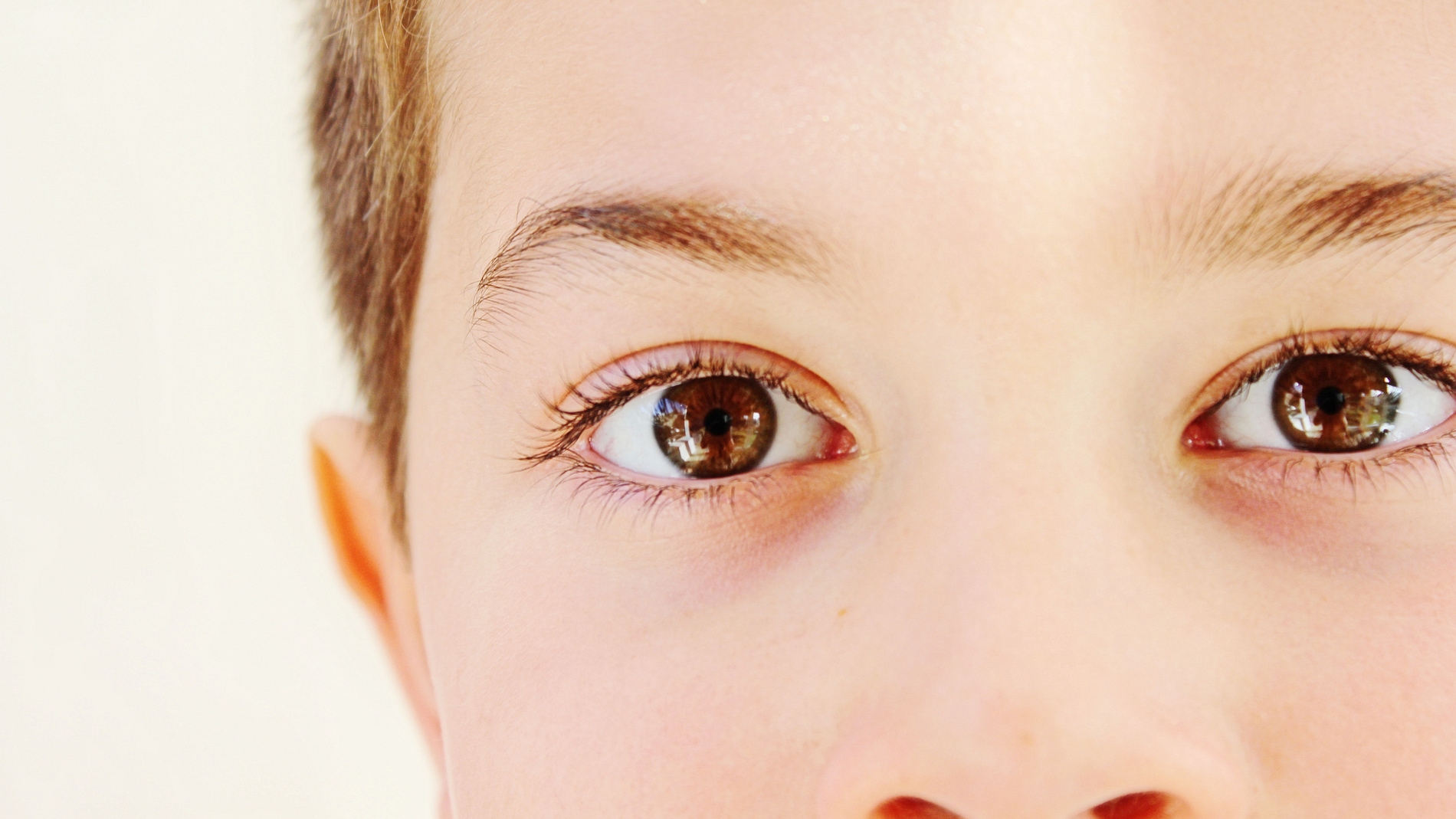Las distintas partes del rostro son procesadas por neuronas diferentes