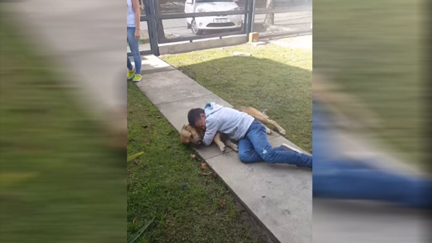 Reencuentro de un menor con su perro