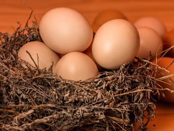 Los huevos parecen ser una fuente viable y recomendada de nutrición