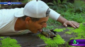 Frank Cuesta besa a una rana