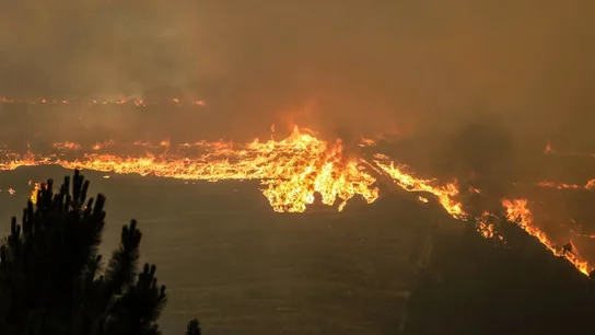Trágico incendio de Pedrógão Grande, en Portugal Trágico incendio de Pedrógão Grande, en Portugal