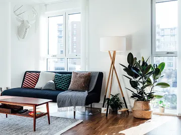 Planta que purifica el aire de tu hogar Planta que purifica el aire de tu hogar