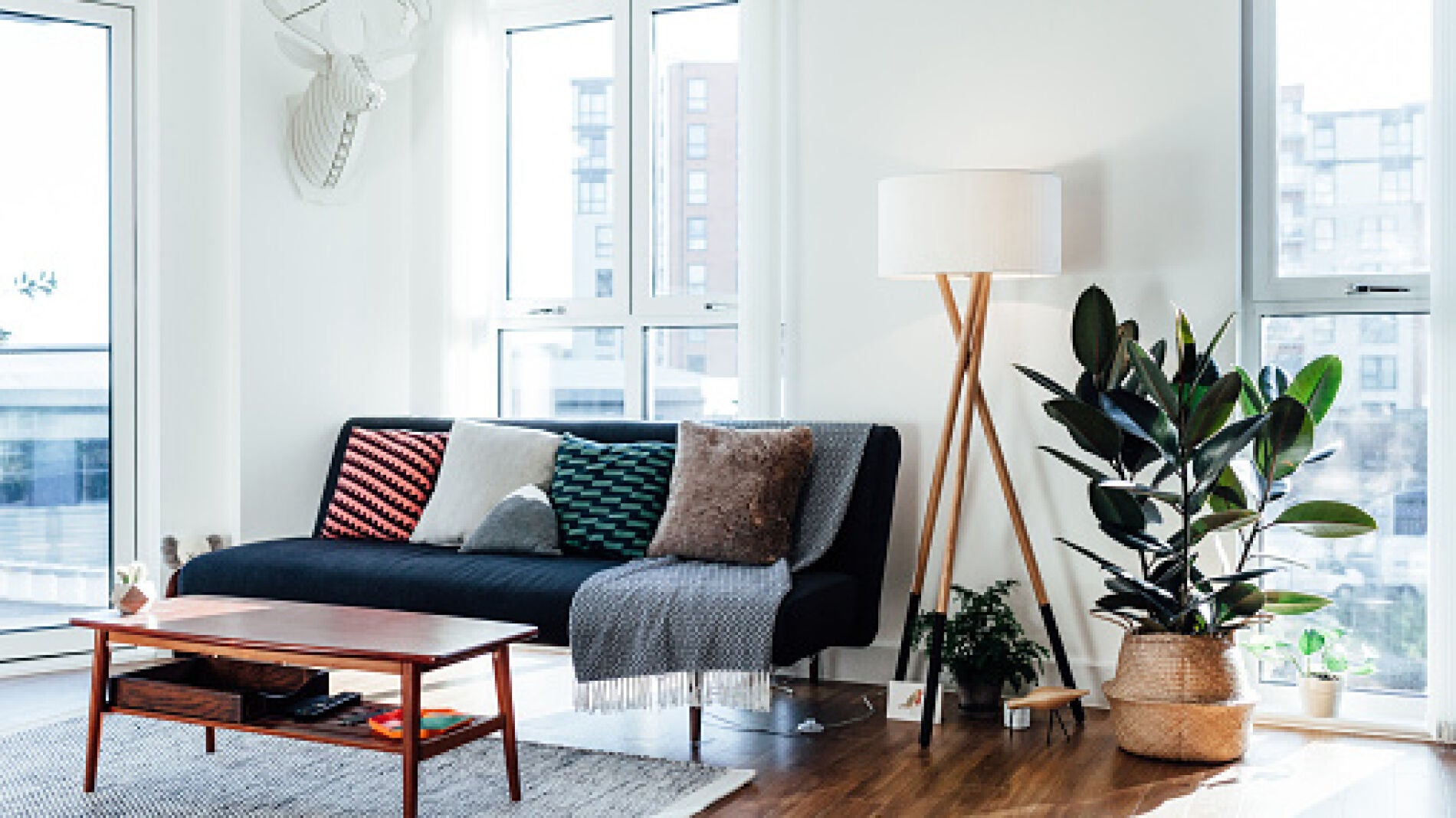 Planta que purifica el aire de tu hogar