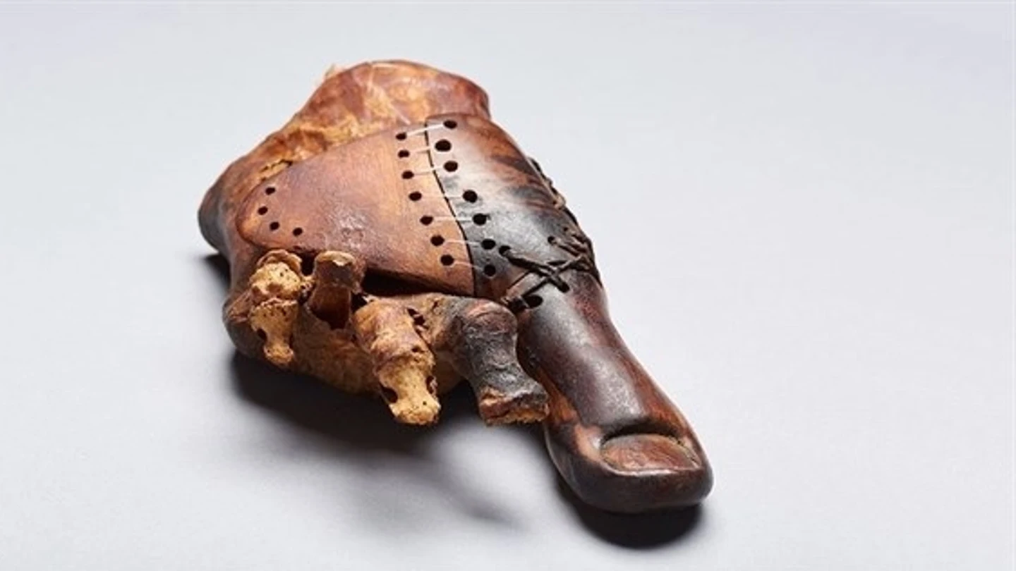 Dedo protésico encontrado en Egipto Dedo protésico encontrado en Egipto