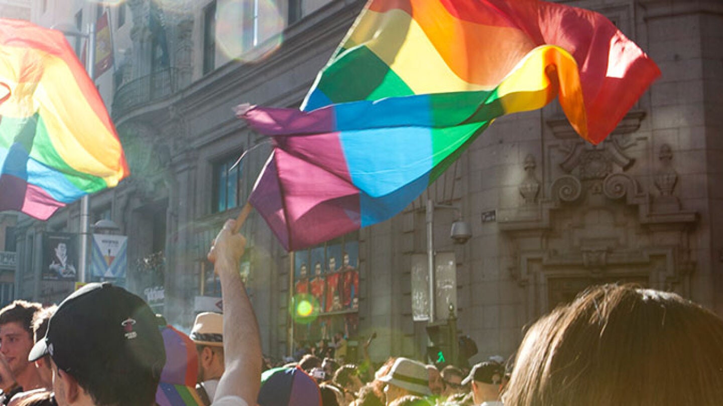 Manifestaci&oacute;n LGTBI en Madrid