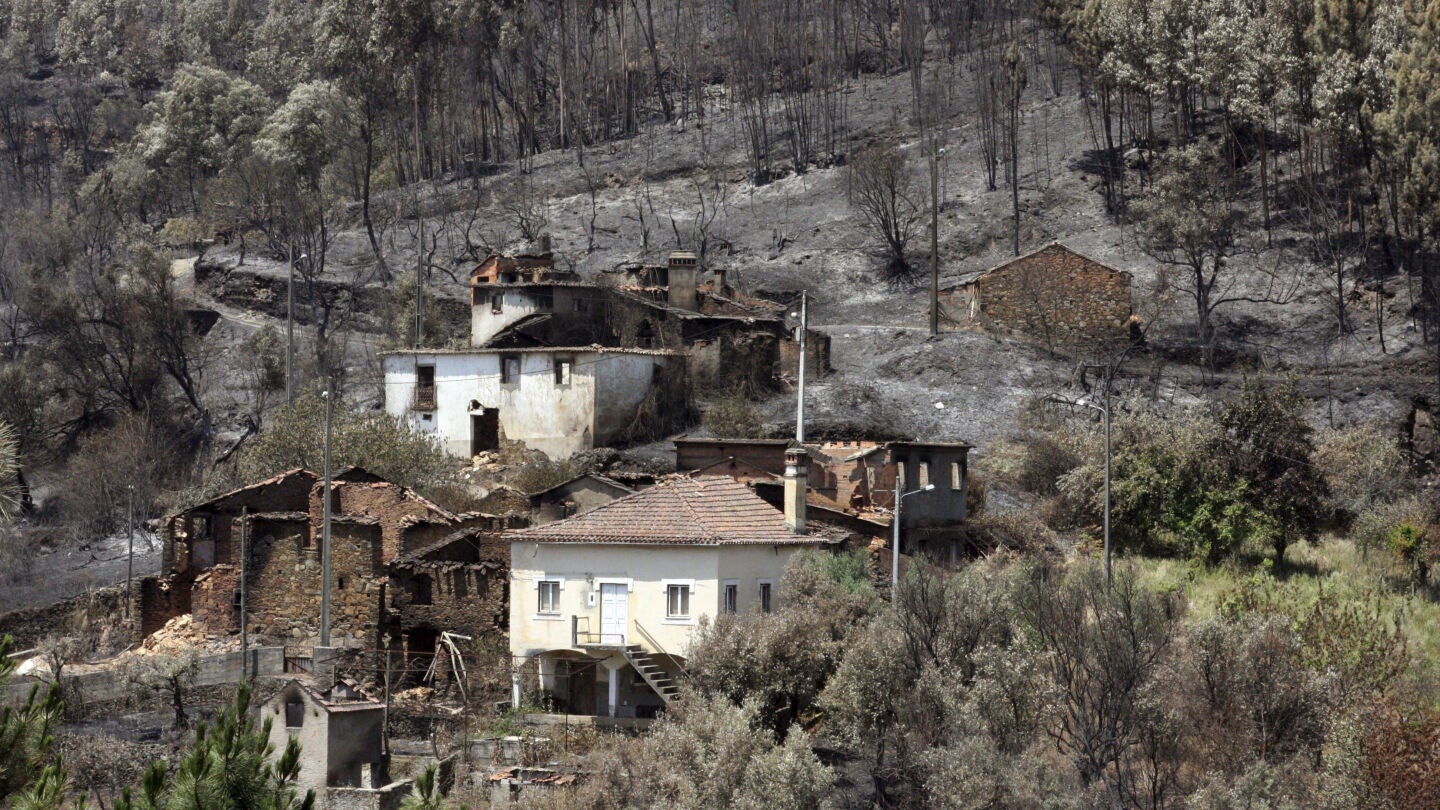Vista de la zona quemada por el incendio originado en Pedr&oacute;g&atilde;o Grande