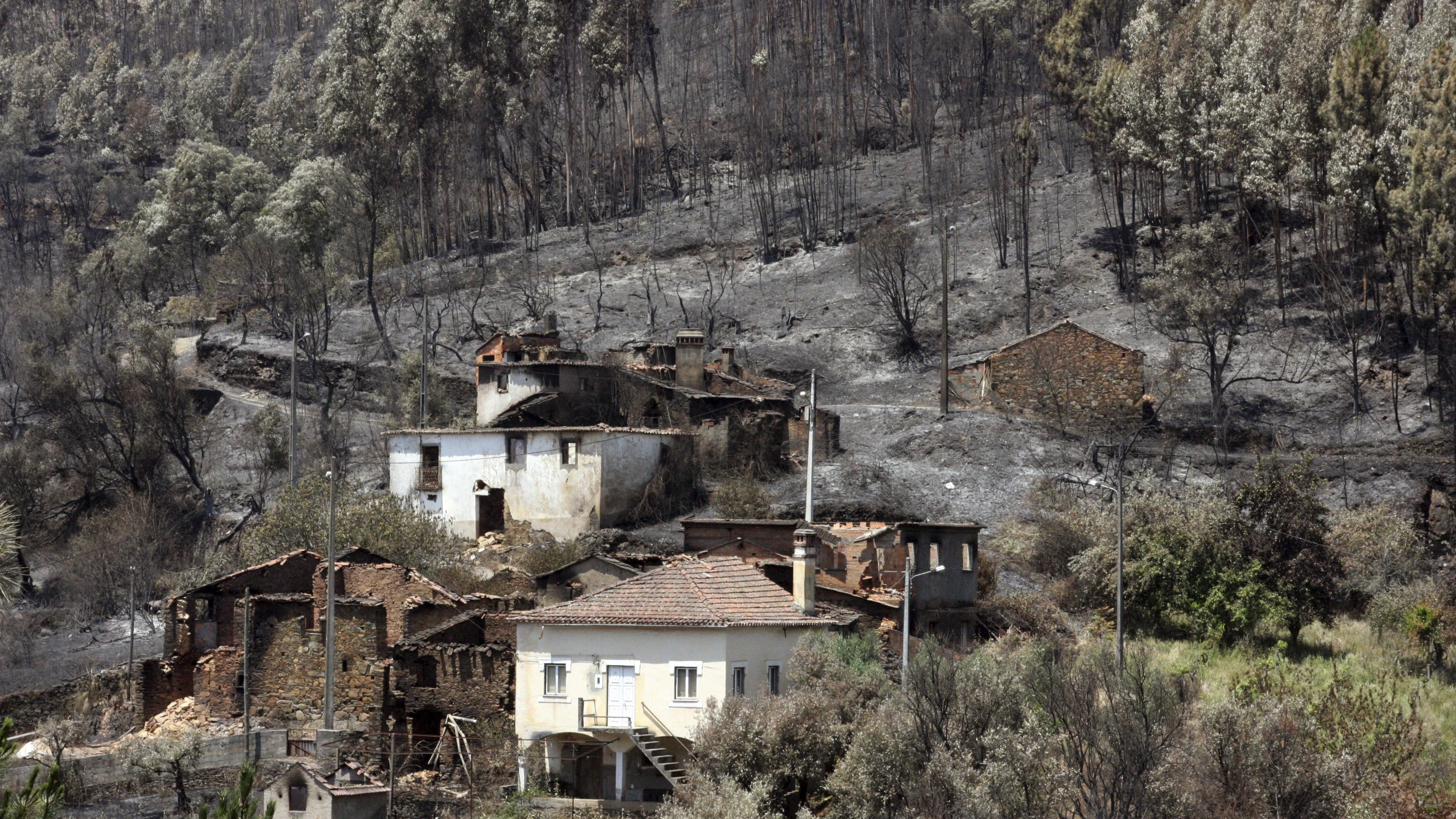 Vista de la zona quemada por el incendio originado en Pedrógão Grande